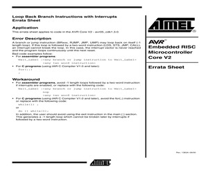 AVR CORES - COMPLEX ASIC CORES - SOFTWARE.pdf