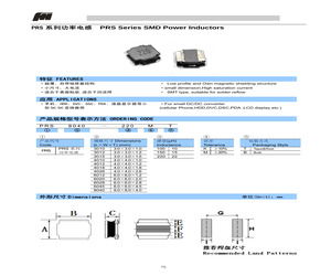 PRS6045-101MT.pdf