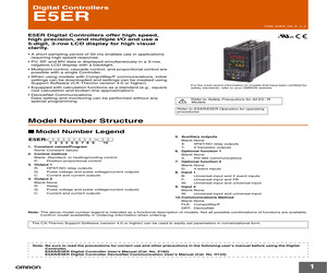 E5ER-PRQ43F-FLK AC/DC24.pdf