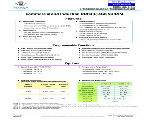 NT5CC256M16ER-EKI.pdf