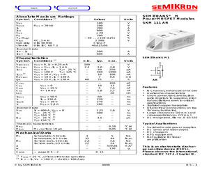 SKM111AR.pdf