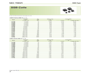 SSB-15-100.pdf