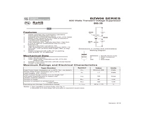 BZW06-171B.pdf