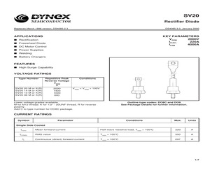 SV2010M.pdf