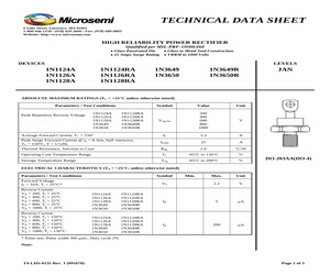 1N1124A.pdf