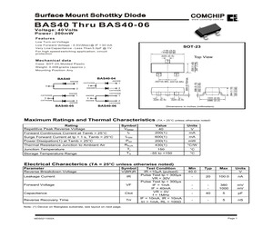 BAS40-04.pdf