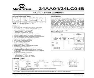 24AA04/P.pdf