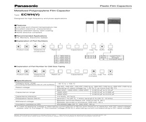 ECWH10102HVB.pdf