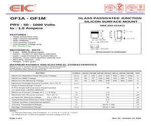 GF1J.pdf