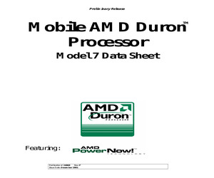 AMD-DURON.pdf