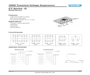 CTDS0624V-G.pdf