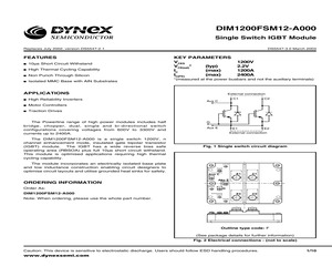 DIM1200FSM12-A000.pdf