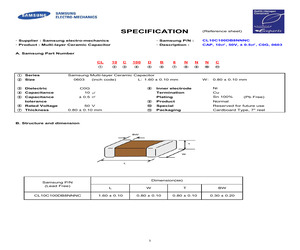 CL10C100DB8NNNC.pdf