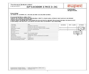 6PS03017E33G28219.pdf