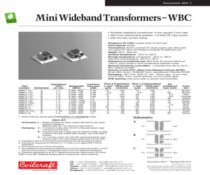 WBC4-1TSB.pdf