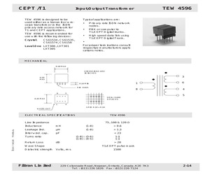 TEW4596.pdf