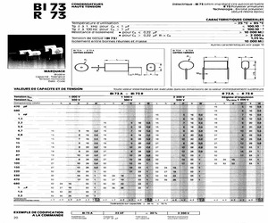 BI73A150101000.pdf