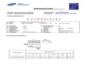 CL21Y225MR5NJNC.pdf