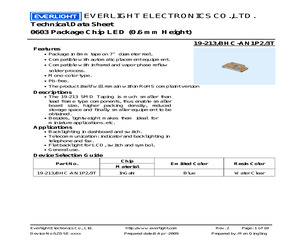 19-213/BHC-AN1P2/3T.pdf