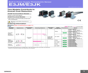 E3JM-R4R4T-G-33.pdf