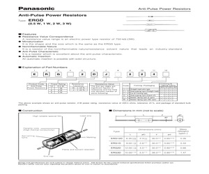 ERG12DGE24.pdf