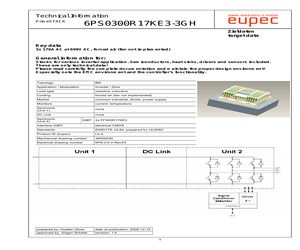 6PS03017E33G30907.pdf