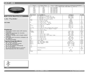 SKT493/08E.pdf