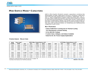 101P29W155JL4U.pdf