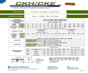 336CKE250M.pdf