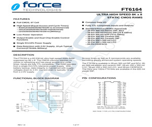 FT6164L-100LSM.pdf