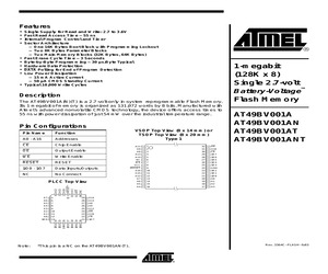 AT49BV001A(N)(T).pdf