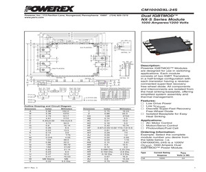 CM1000DXL-24S.pdf