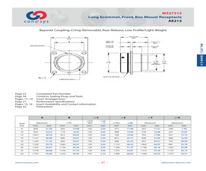 AE213E10B98SA.pdf