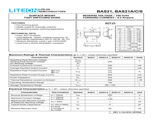 BAS21C.pdf