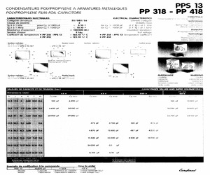 PP318430020250.pdf