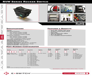 RVW43D1100.pdf