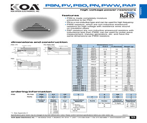 PAP3MFA110K.pdf