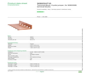 9080GH710.pdf