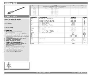 SKNA402.pdf