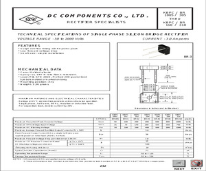 BR305.pdf