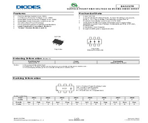 BAS21TM-7.pdf