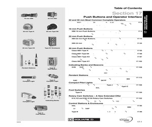 ZB4BV033.pdf