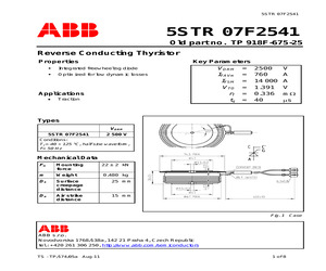 5STR07F2541.pdf