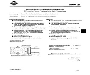 BPW21.pdf