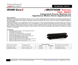 IRAM256-1067A.pdf