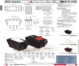 RSC143D1100.pdf