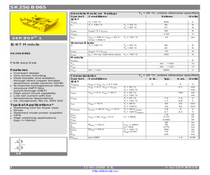 SK25GB065.pdf