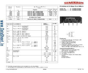 SKBB250C3200/2200.pdf