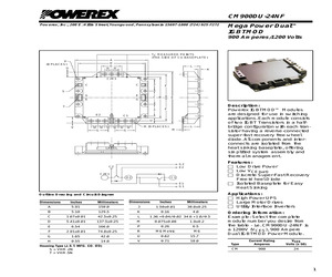 CM900DUC-24NF.pdf