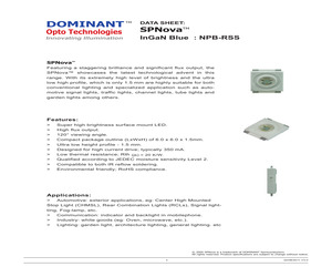 NPB-RSS-Z1AA-1.pdf